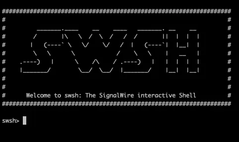 The SWSH terminal.