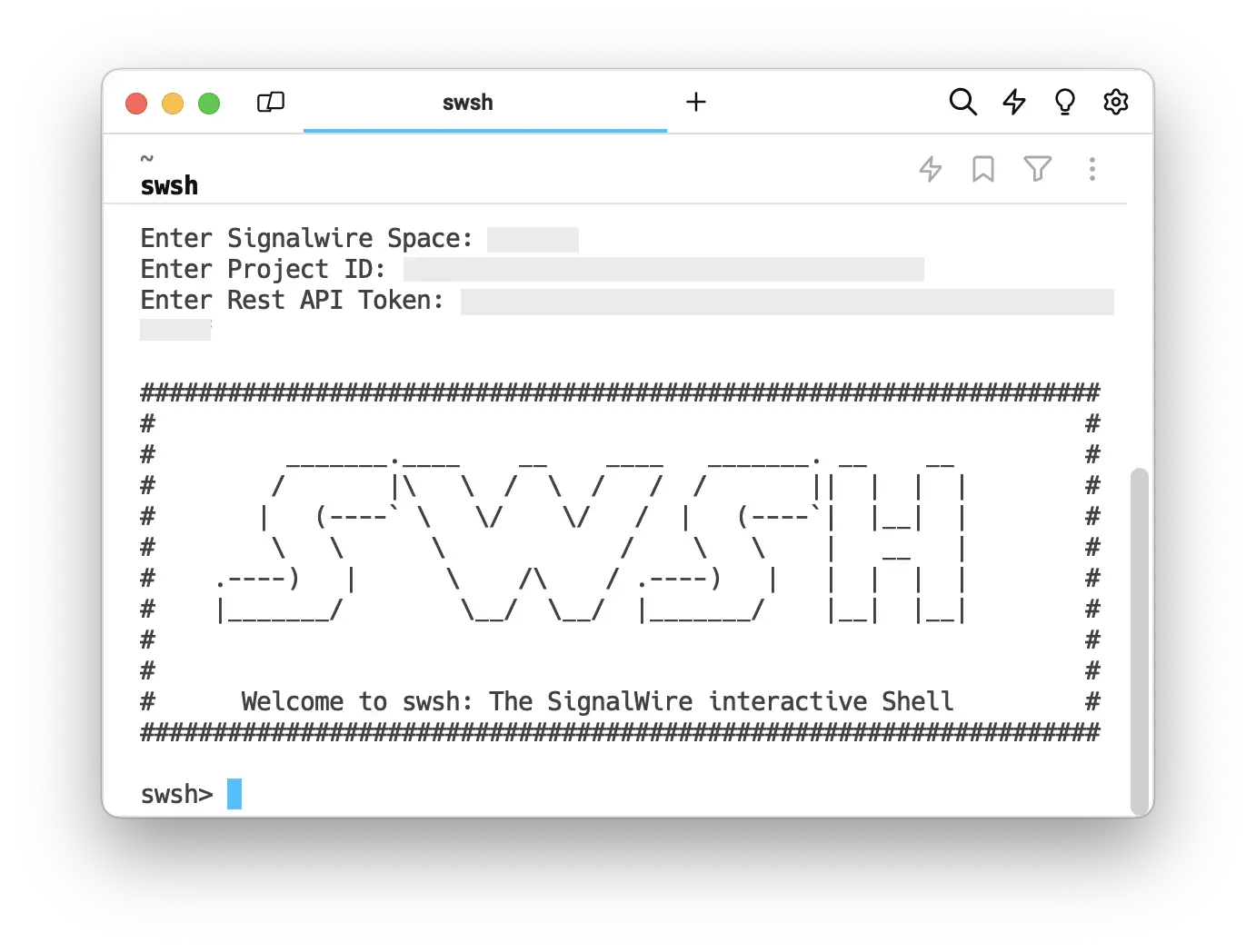 The SWSH command prompt.